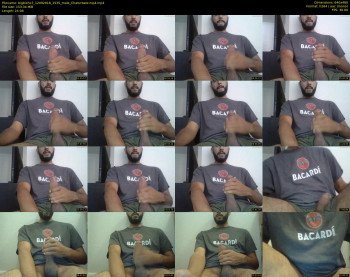 bigbicho7