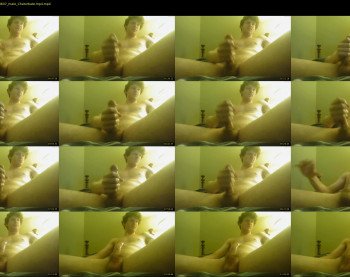 warrenstrips