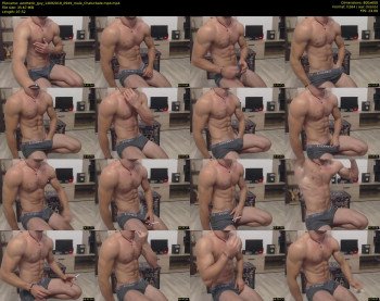 aesthetic_guy