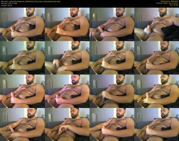 gainerbeardedcub