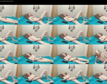 willyflip
