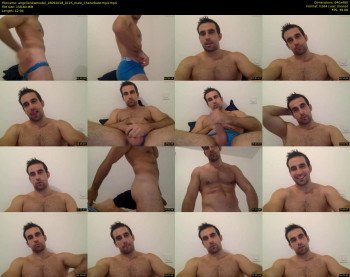 angellonewmodel