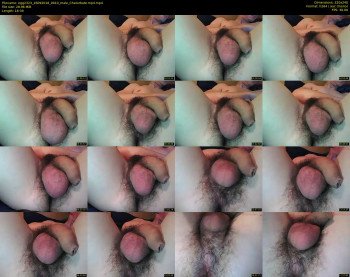 egg2323