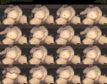 fatguytiny1