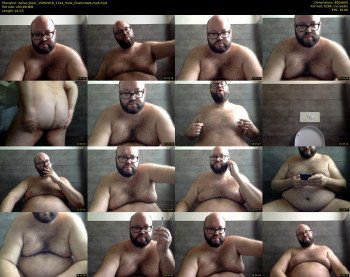italian_bear
