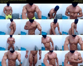 promuscles4u