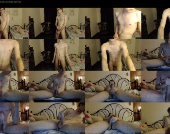 aleccat