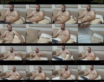 bernard_dancebear