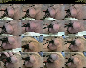bhead21
