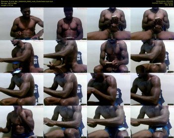 fit_kris_bbc