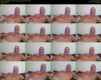 graydog69