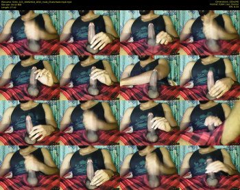 tintin_123