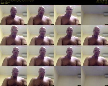 flymonster71