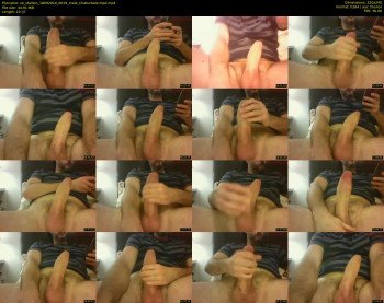 uk_stallion