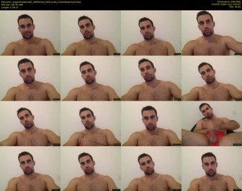 angellonewmodel