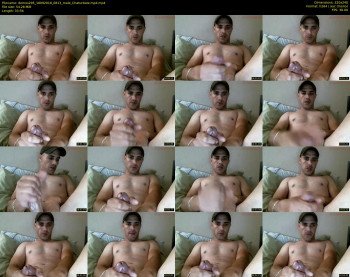 demos295