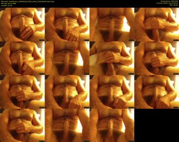 hotelhorny