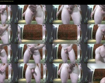palpenis