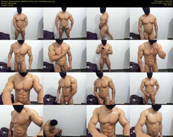 promuscles4u