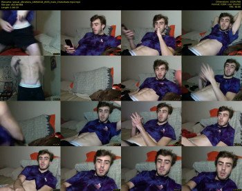sexual_vibrations