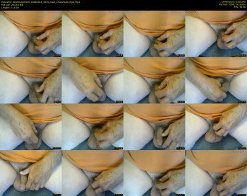 silverbullett130