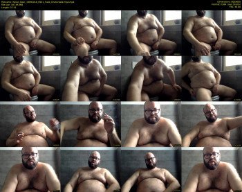 italian_bear