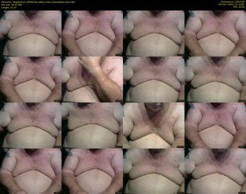 largebody2