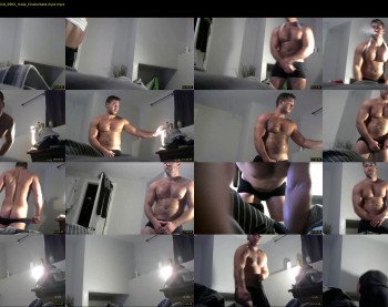 musclefriendly88