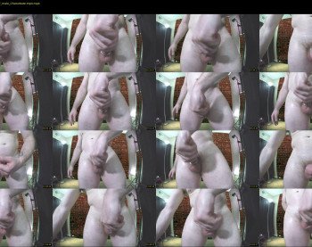 palpenis