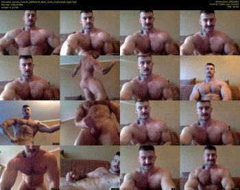 panda_muscle