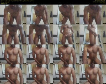 whackattack14