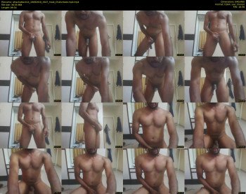 whackattack14