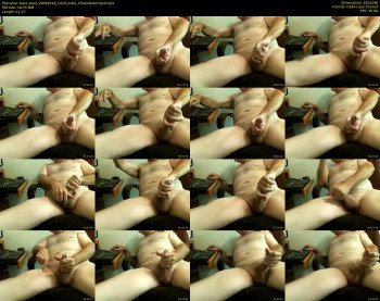 bare_bear