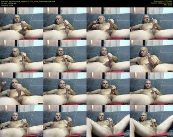 egyptian_cock