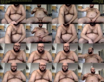 italian_bear