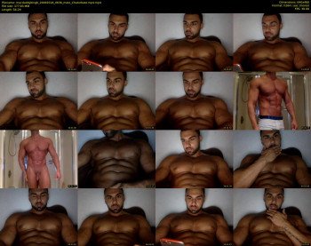 macdaddykingb