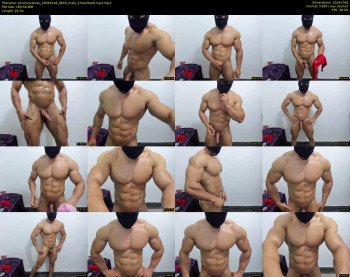 promuscles4u