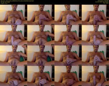 silviocock22