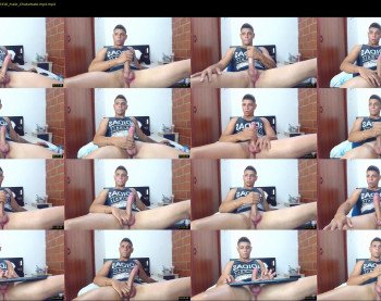 stephalverto