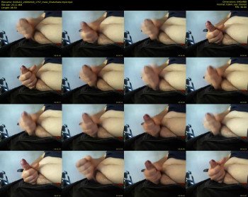 tishllub1