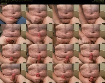 txbexarbear