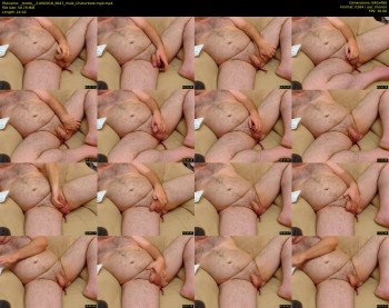 _toreto_