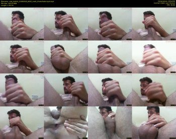 cats_sexhot