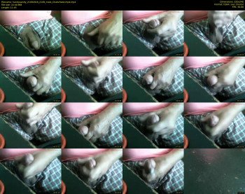 handyaandy