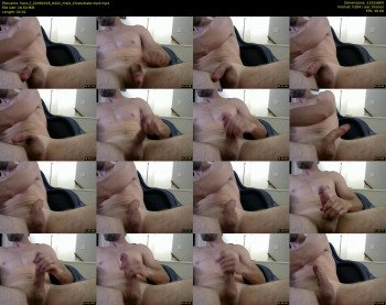 hans_f