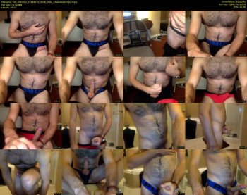hot_otter292
