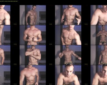 muscleboytop