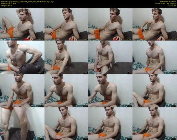 papimodels