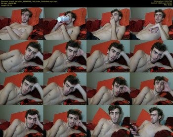 sexual_vibrations