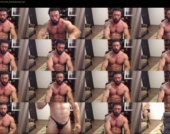 stevebulkzor